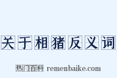 关于相猪反义词是什么意思的图片